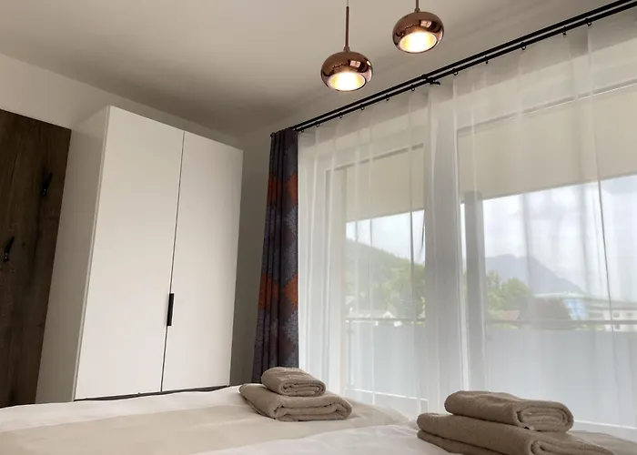 Local View - By Mynests *